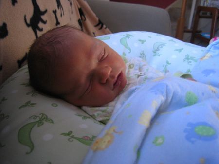 Babydougkadan 011
